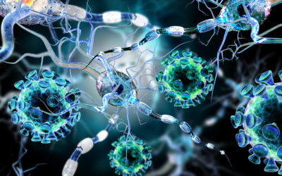 Bigger and Better Brain: Effective Memory Loss Treatment | Optimum Health Kerrville